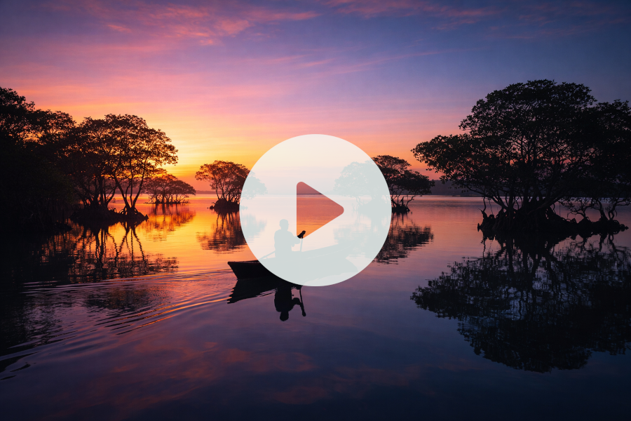 The Poetry of Reflection